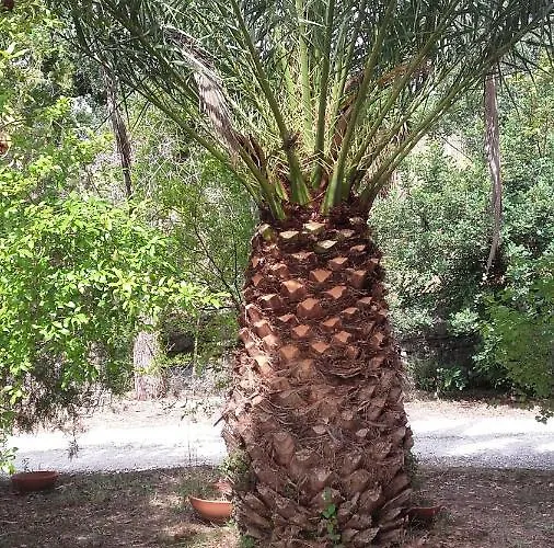 Alojamento de Acomodação e Pequeno-almoço Bed & Breakfast Suite